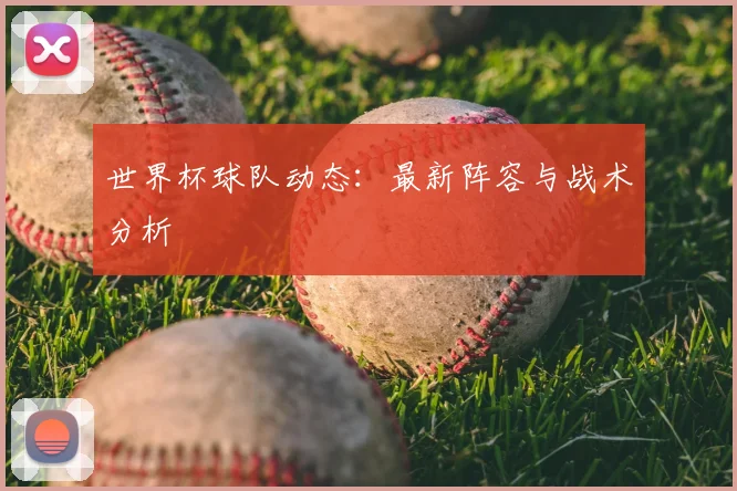 世界杯球队动态：最新阵容与战术分析
