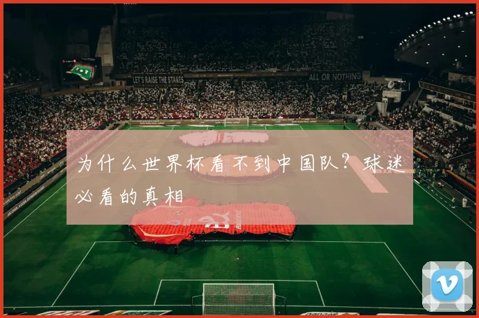 为什么世界杯看不到中国队?球迷必看的真相